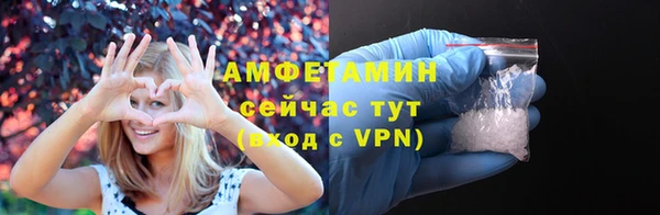сатива Белокуриха