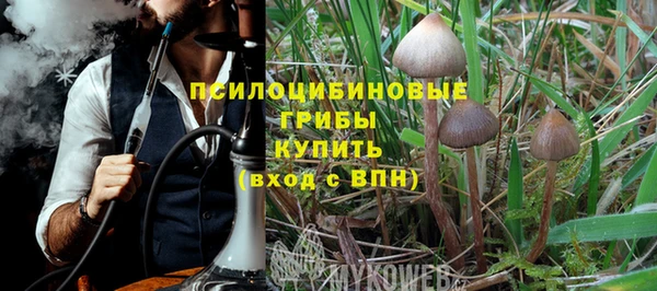 амф Белоозёрский