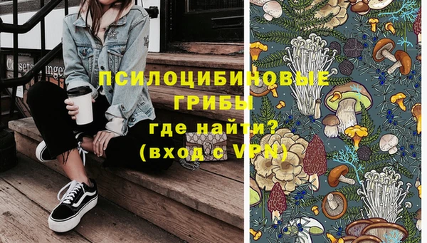 сатива Белокуриха