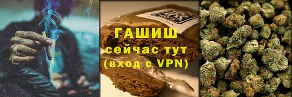 сатива Белокуриха