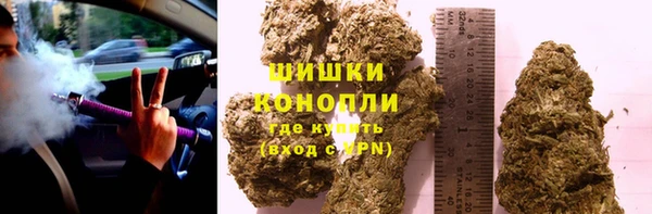 сатива Белокуриха