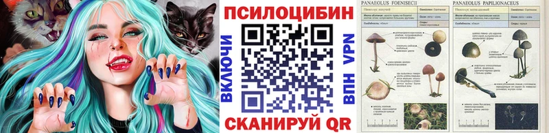 Псилоцибиновые грибы MAGIC MUSHROOMS  Шлиссельбург 